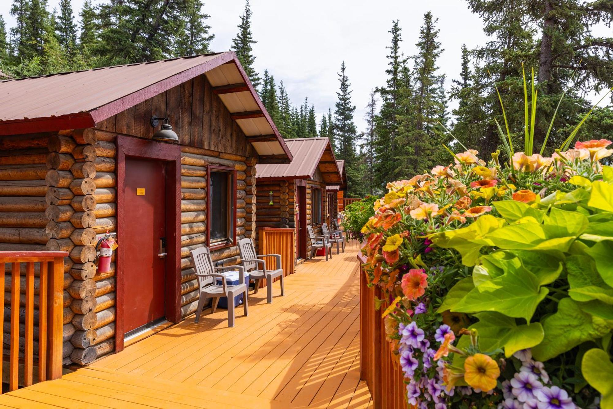 Denali Crow'S Nest Cabins Denali Park Exterior photo