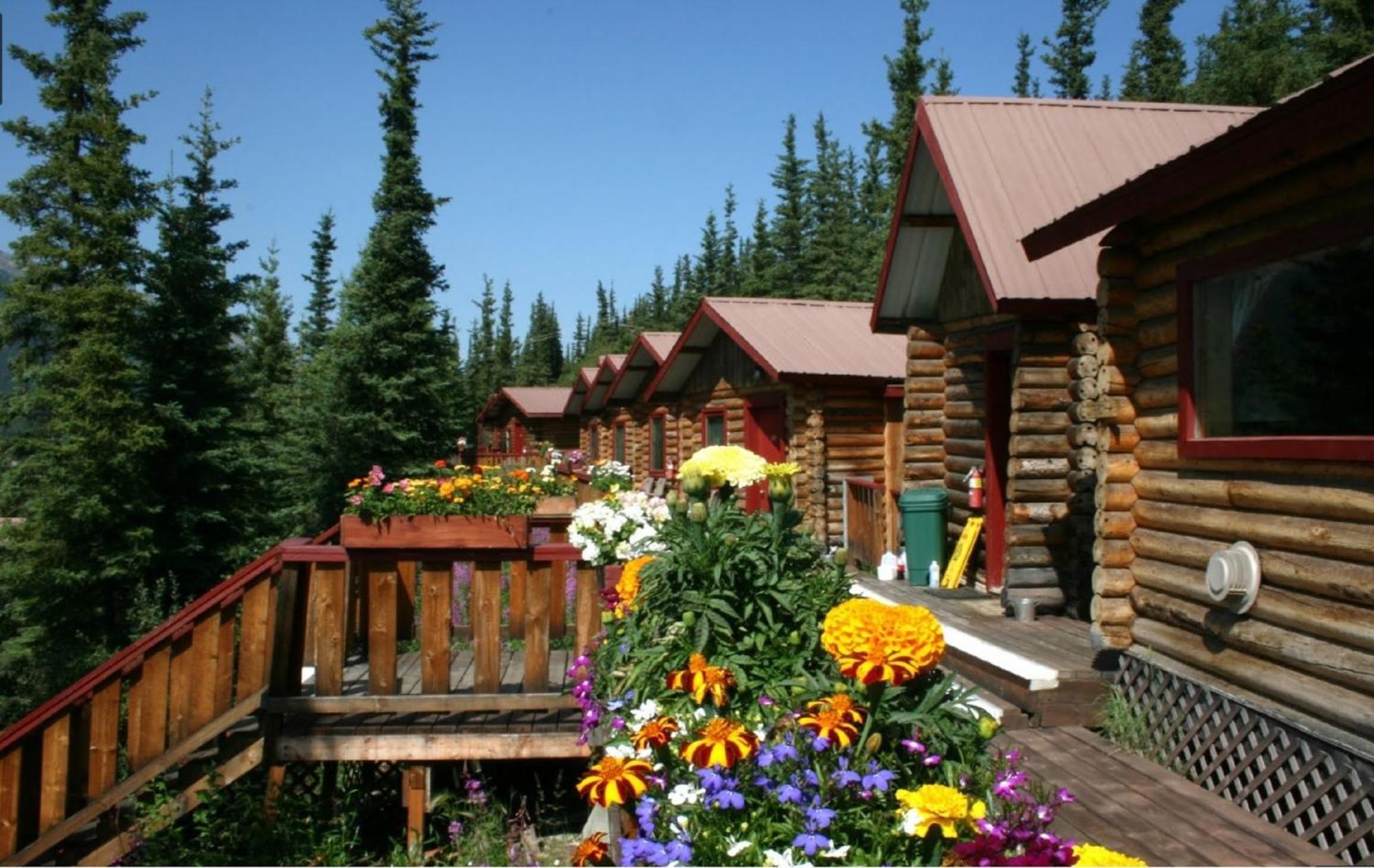 Denali Crow'S Nest Cabins Denali Park Exterior photo